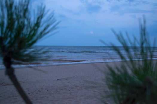 Summer seascape. Nobody at coastline. photo