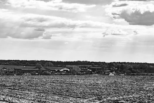 Photography on theme big empty farm field for organic harvest photo