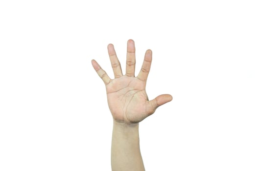 hand raise up isolated on white background photo