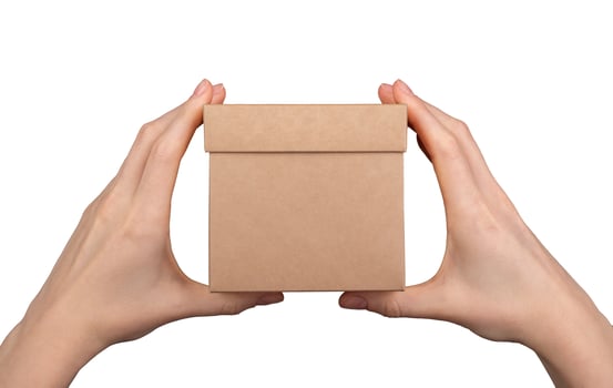Kraft box in hands isolated isolated on white background photo