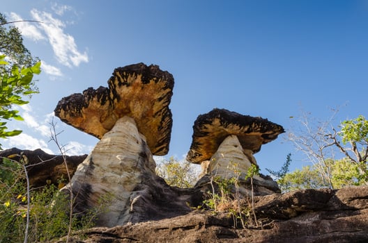 Sao Chaliang is mushroom-like rocks that have been eroded by water and wind for millions of years, Thailand photo