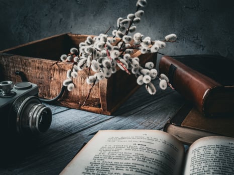 Old Books, an old Camera and pussy willow photo