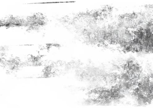 Ink Elegance, Black Rolled Texture on a Clean White Background photo