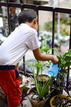 Cute 5 year old Asian little boy is watering the plant in the pots located at house balcony, Love of sweet little boy for the mother nature during watering into plants, Kid Planting photo