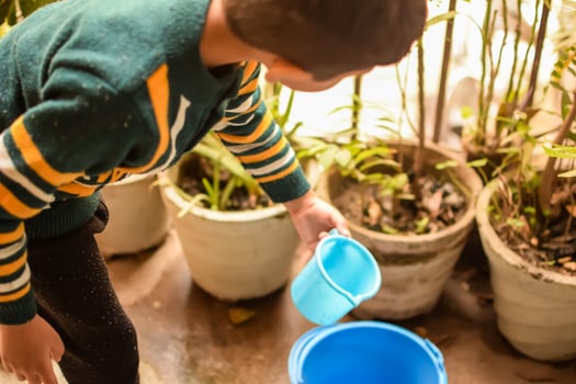 Cute 5 year old Asian little boy is watering the plant in the pots located at house balcony, Love of sweet little boy for the mother nature during watering into plants, Kid Planting photo