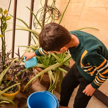 Cute 5 year old Asian little boy is watering the plant in the pots located at house balcony, Love of sweet little boy for the mother nature during watering into plants, Kid Planting photo