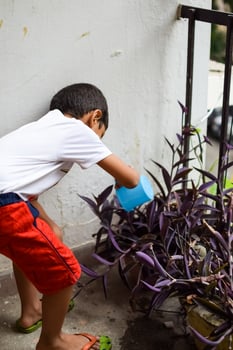 Cute 5 year old Asian little boy is watering the plant in the pots located at house balcony, Love of sweet little boy for the mother nature during watering into plants, Kid Planting photo