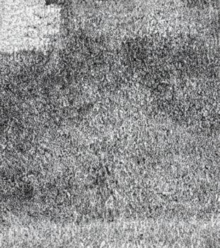 Inky Elegance, Black Rolled Ink Texture on White Paper photo