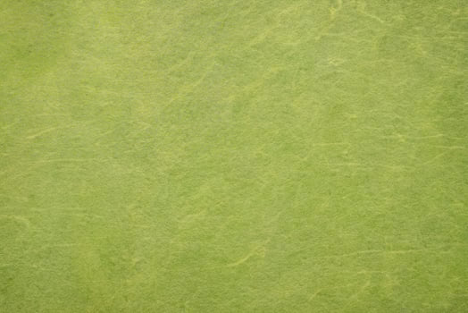 Authentic Korean Hanji Paper Texture photo