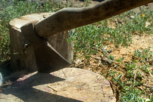 An axe in the wooden stump. photo
