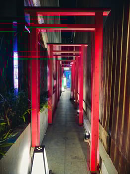 Tight Empty Alley With Red Decorations In Japan photo