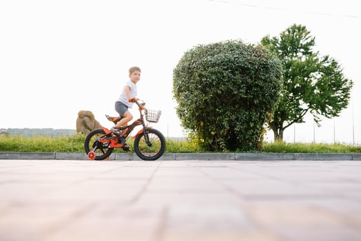 Happy boy ride a bicycle in city park photo