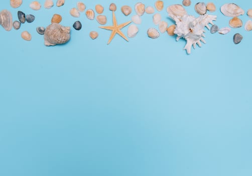 Flat lay. Top view. Frame of shells of various kinds on a blue background. Seashells and starfish on a pastel background. Vacation concept. travel concept. with copy space photo
