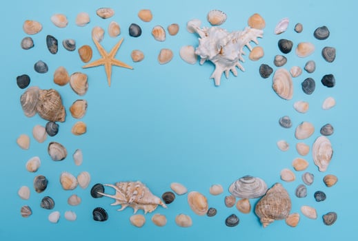 Flat lay. Top view. Frame of shells of various kinds on a blue background. Seashells and starfish and ship on a pastel background. Vacation concept. travel concept. with copy space photo