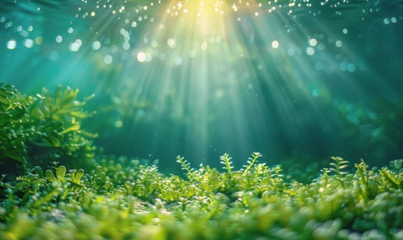 AI generated Underwater View of Plants in Water photo