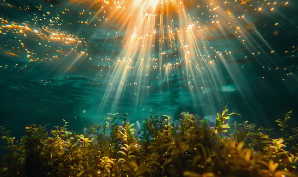 AI generated Sun Shining Through Water Over Plants photo