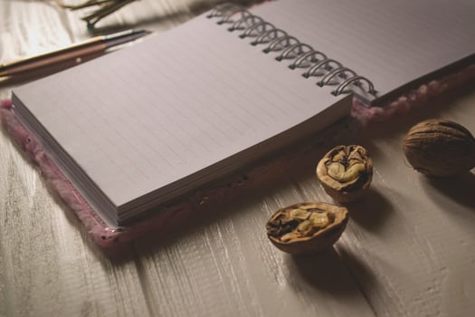 Opened notebook and pen on a desktop photo