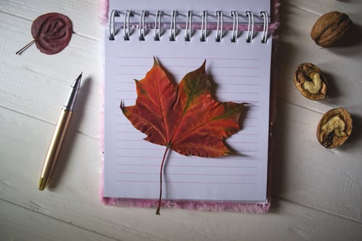 An opened notebook and pen on a desktop with decoration by fallen leaves. Atmospheric autumn background with copy space. photo