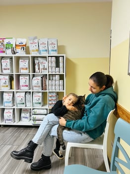 Budva, Montenegro - 25 december 2022. Little girl with her mother sitting with a cat in a veterinary clinic photo