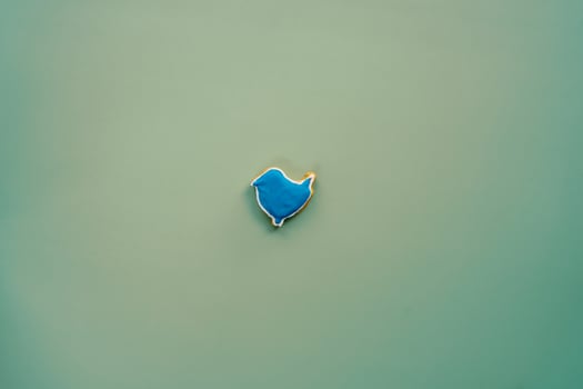 Blue glazed cookie in the shape of a bird on a green background photo
