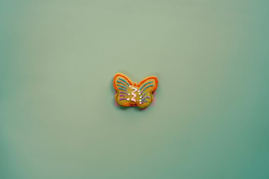 Colorful glazed butterfly cookie on a green background photo
