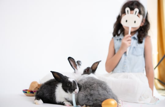 Easter bunny fun with little children the beauty of friendship between humans and animals photo