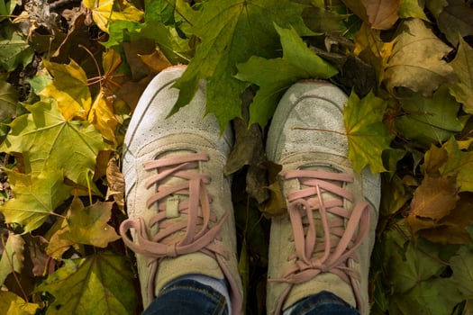Woman walking in autumn park. Girl's feet in sneakers on the fallen leaves. photo