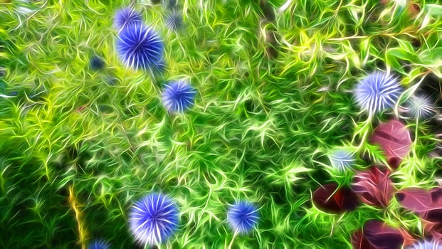 Digital painting style representing thistle flowers in a countryside photo