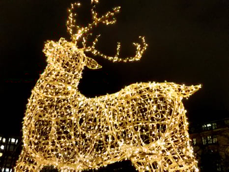 A glowing reindeer at night on the street in Scandinavia in digital painting style photo