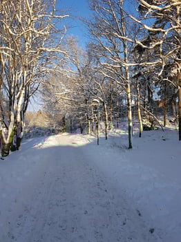 winter on the outskirts of Stockholm photo