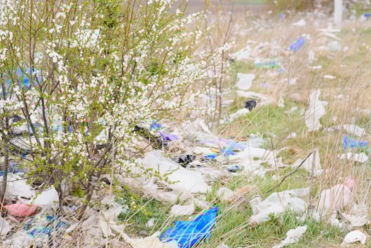 Ecological pollution of nature. Plastic bag tangled in plants against the backdrop of the mountains. Global environmental pollution. Recycling, clearing the land from plastic debris. photo