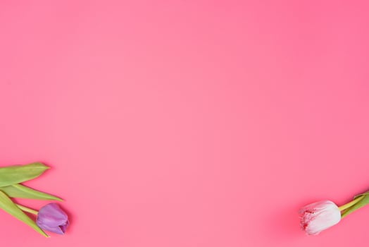 Floral background with tulips flowers on pink pastel background. Flat lay, top view. Woman day background. photo
