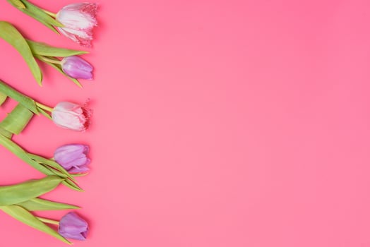 Floral background with tulips flowers on pink pastel background. Flat lay, top view. Woman day background. photo