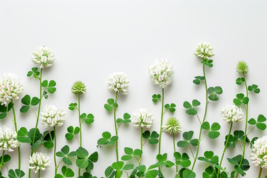 AI generated Clover flowers and green leaves on white background top view photo