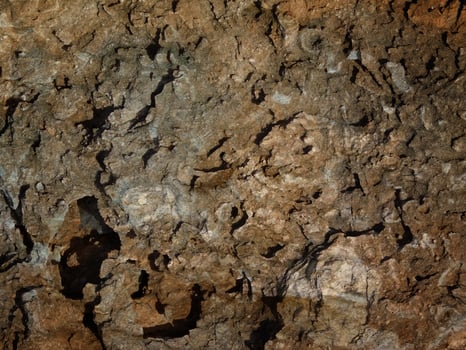 Outdoor stone texture photo