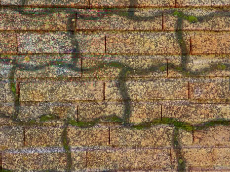 Outdoor stone texture photo