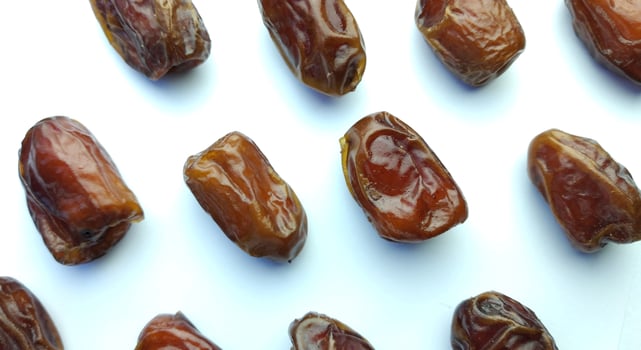 date palm on white background photo