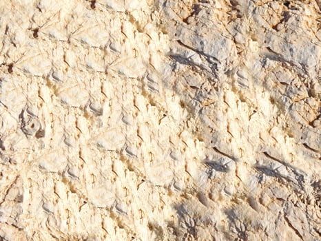 Stone Texture Outdoors photo
