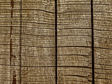 Brown Wood Texture photo