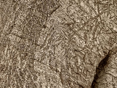 Brown Wood Texture photo