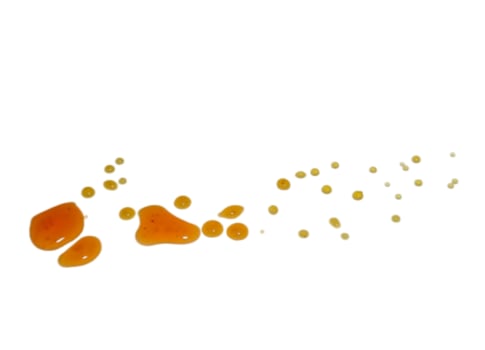 Honey isolated on white background photo