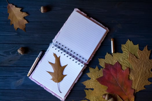 Opened notebook, pen and dry oak leaves on a blue wooden table. photo