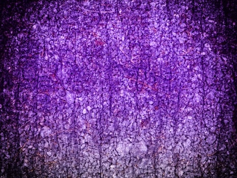 Texture Of Blue Stone In The Garden photo
