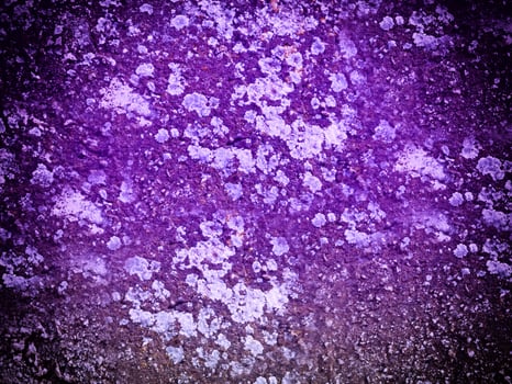 Texture Of Blue Stone In The Garden photo
