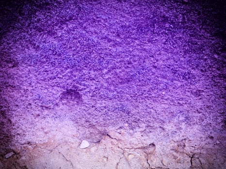 Texture Of Blue Stone In The Garden photo
