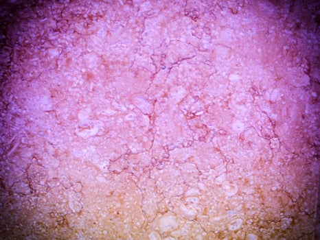 Texture Of Blue Stone In The Garden photo