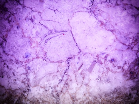 Texture Of Blue Stone In The Garden photo