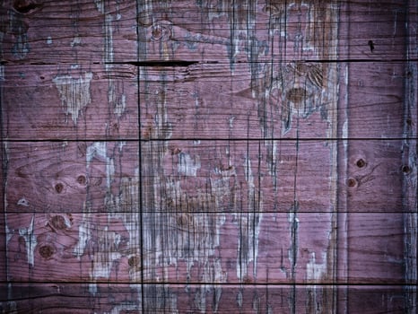 Dark Wood Texture In The Garden photo