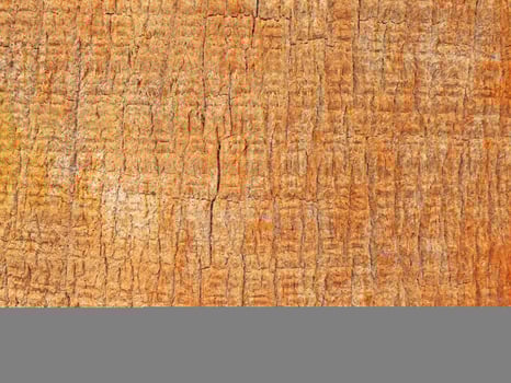 Red Wood Texture photo