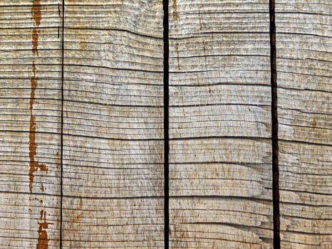 Wood Texture Outdoors In The Garden photo